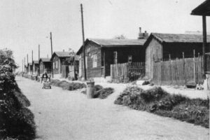 nouzova-kolonie-arizona-domy
