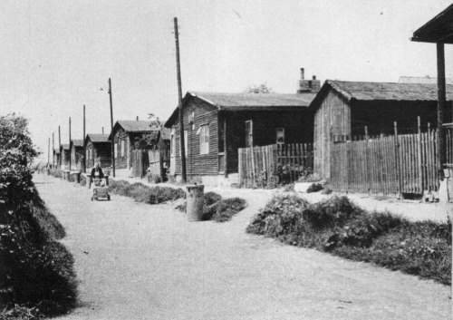 nouzova-kolonie-arizona-domy