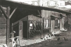 nouzova-kolonie-prazacka-dum