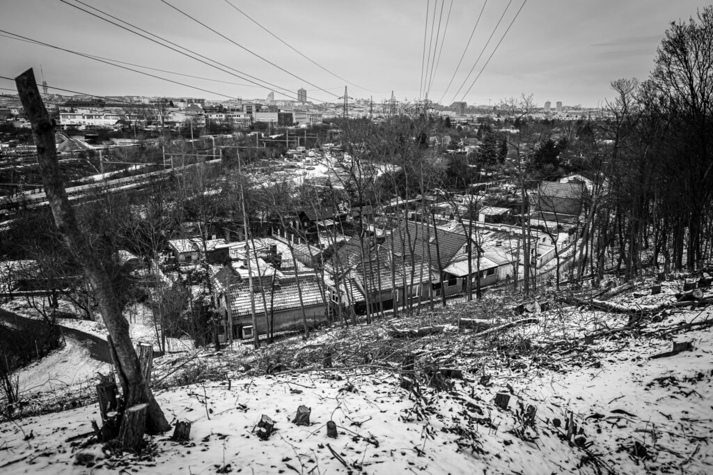 pod-lesikem-petr-vrabec