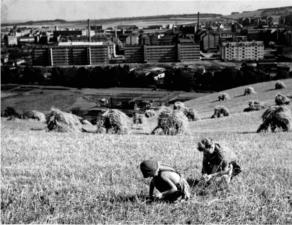 nouzova-kolonie-u-rokytky