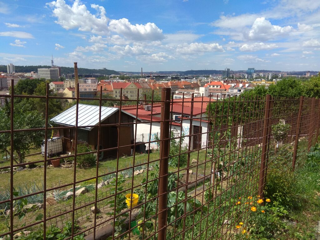 nouzova-kolonie-na-kotlasce-domy